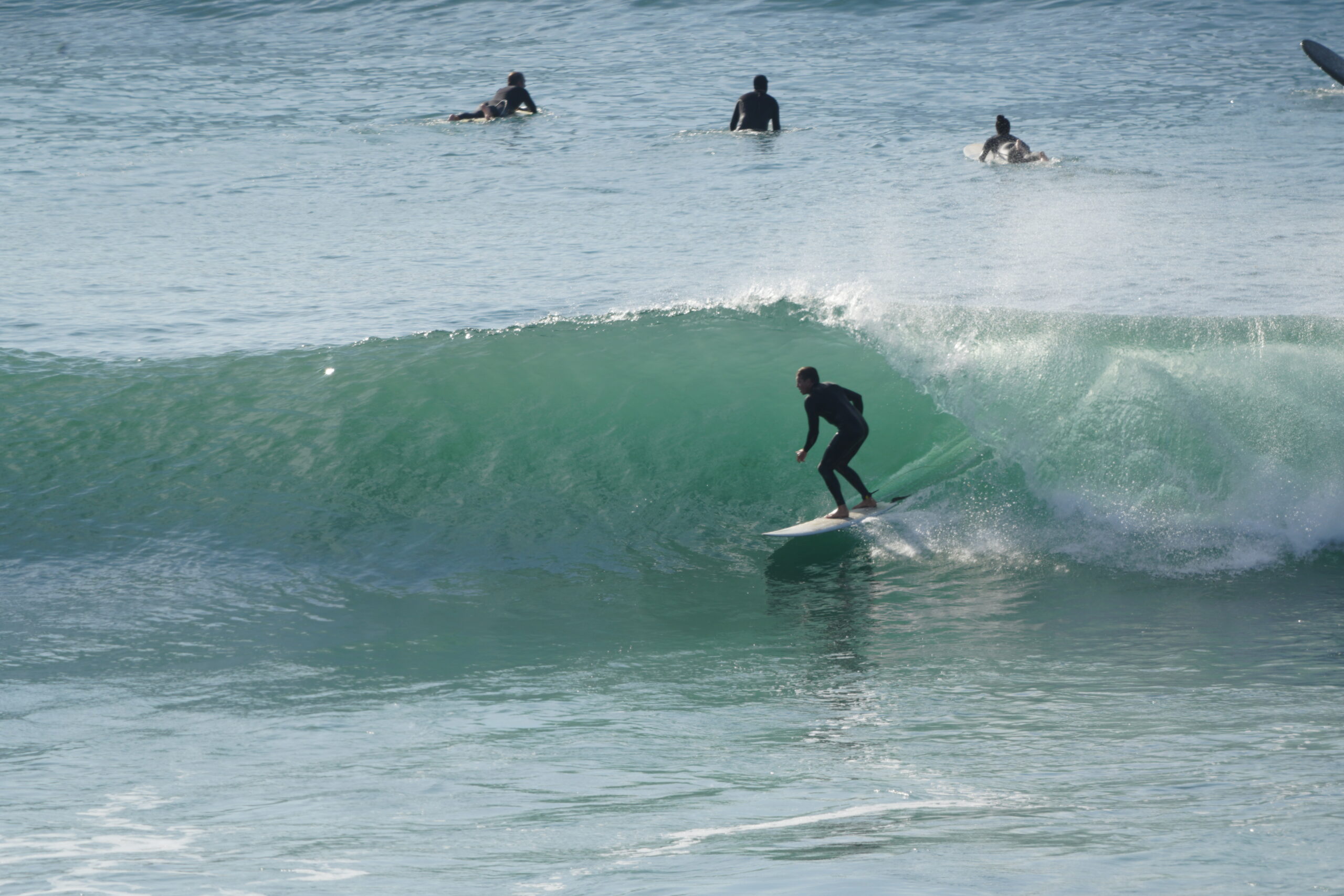 Waves n Pics February 6, 2026